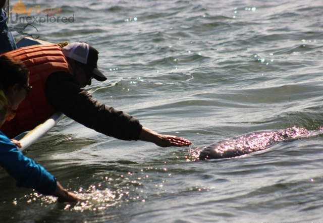 Una grane xperiencia